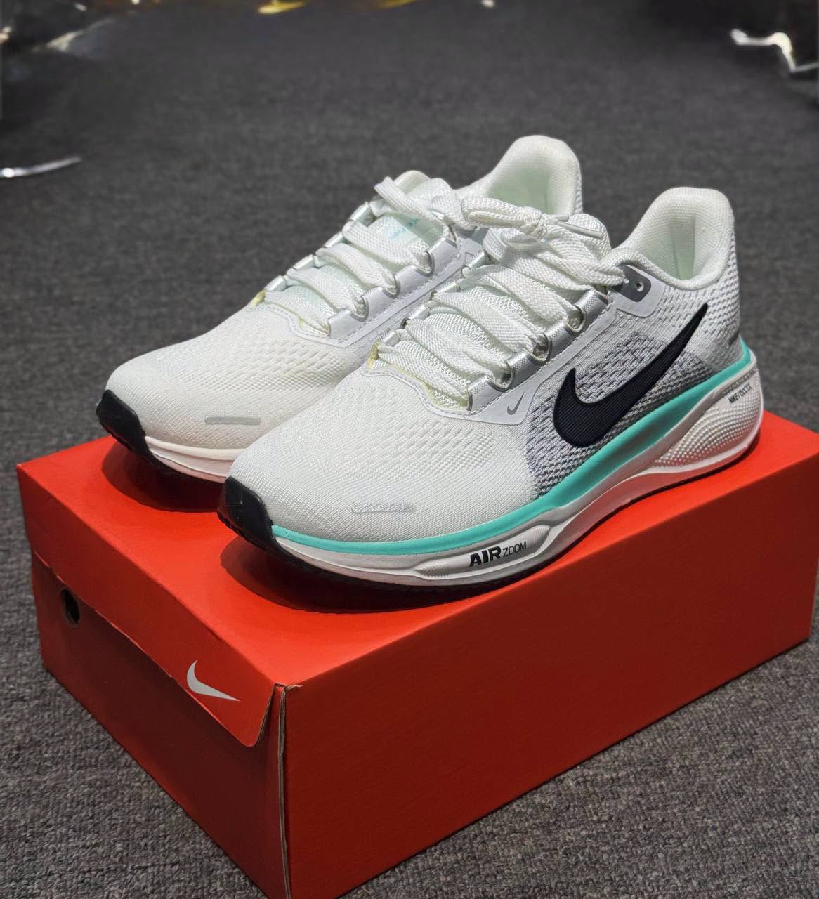 Nike Air Zoom Pegasus 41